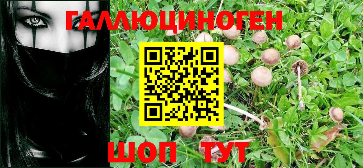 Галлюциногенные грибы GOLDEN TEACHER Белогорск