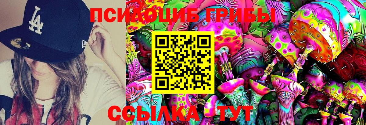что такое   Галлюциногенные грибы Psilocybine cubensis  Галлюциногенные грибы прущие грибы  Вход с VPN  Белогорск 